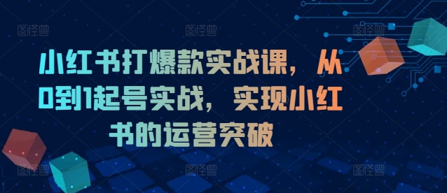 小红书打爆款实战课，从0到1起号实战，实现小红书的运营突破-康仁安资源