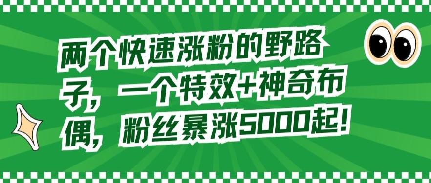 两个快速涨粉的野路子，一个特效+神奇布偶，粉丝暴涨5000起【揭秘】-康仁安资源