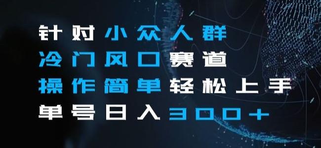针对小众人群冷门风口赛道，操作简单轻松上手单号日入300+-康仁安资源