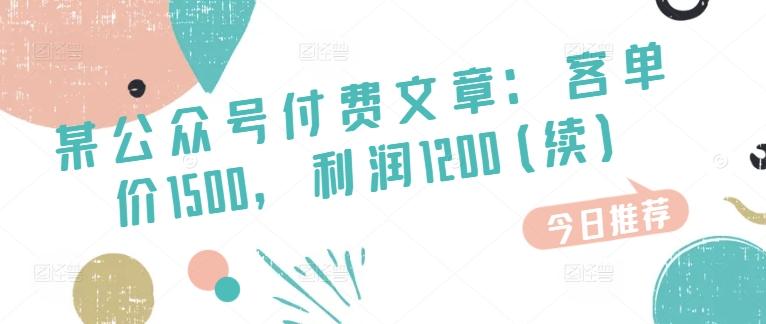 某公众号付费文章：客单价1500，利润1200(续)，市场几乎可以说是空白的-康仁安资源
