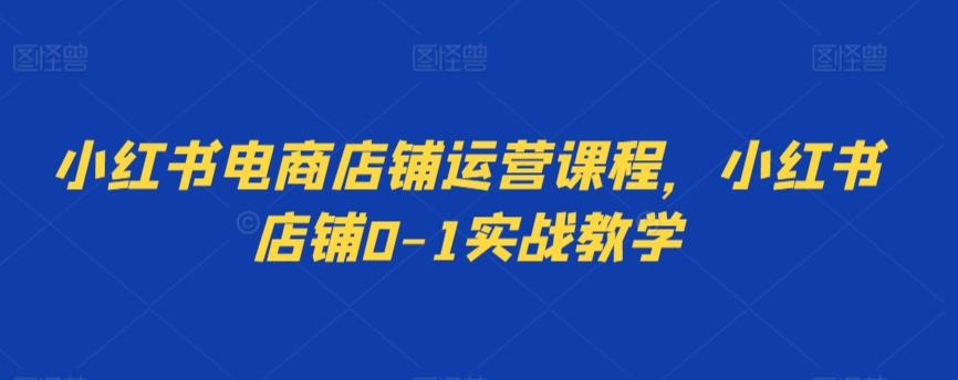 小红书电商店铺运营课程，小红书店铺0-1实战教学-康仁安资源