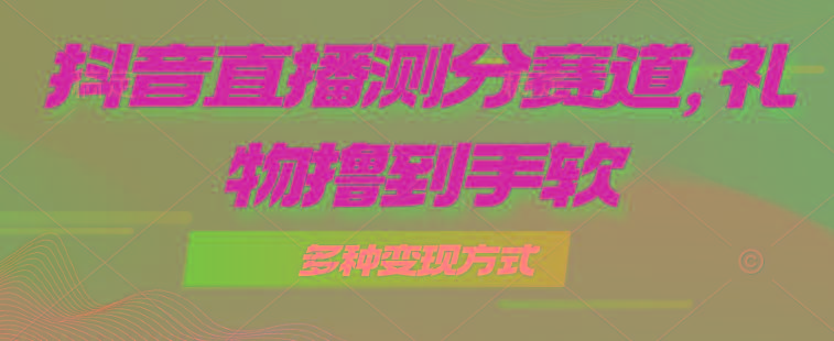 抖音直播测分赛道，多种变现方式，轻松日入1000+-康仁安资源