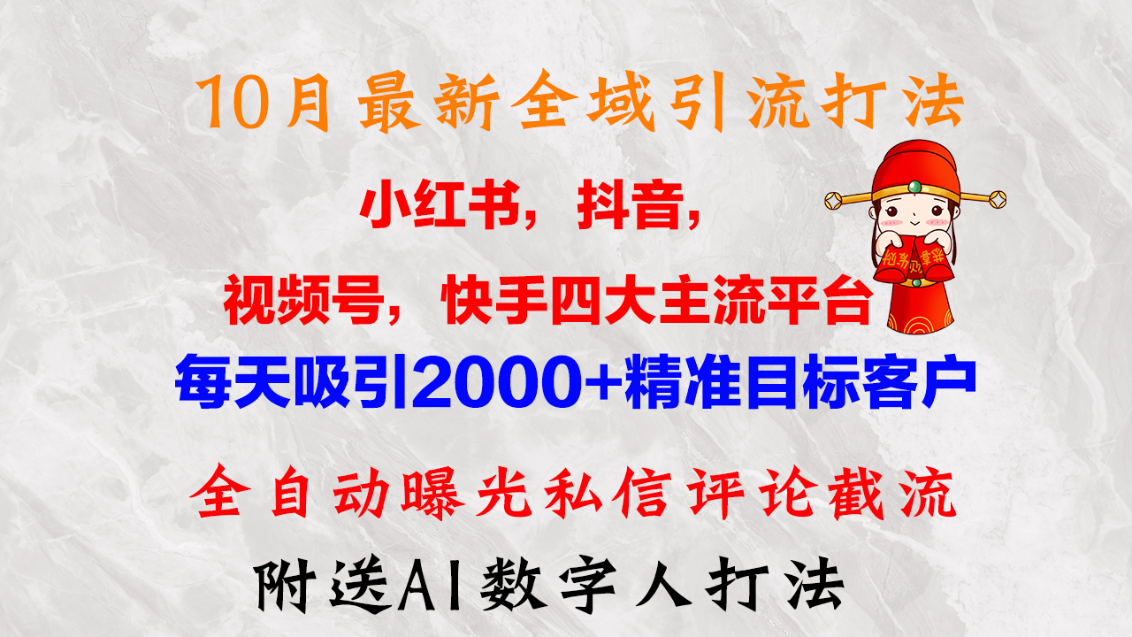 10月最新小红书，抖音，视频号，快手四大平台全域引流，，每天吸引2000...-康仁安资源