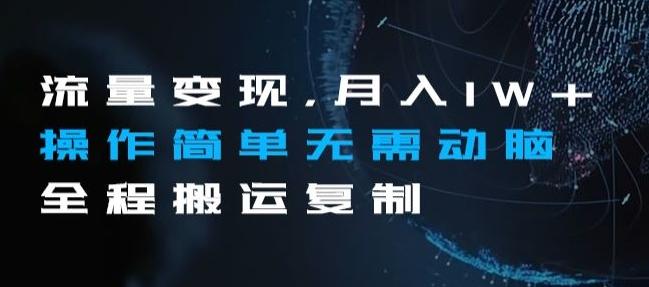 流量变现，月入1W+操作简单无需动脑全程搬运复制【揭秘】-康仁安资源