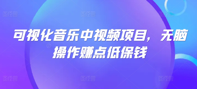 可视化音乐中视频项目，无脑操作赚点低保钱-康仁安资源