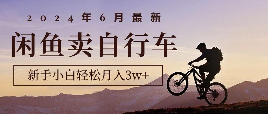 2024年6月最新闲鱼卖自行车，新手小白轻松月入3w+项目-康仁安资源
