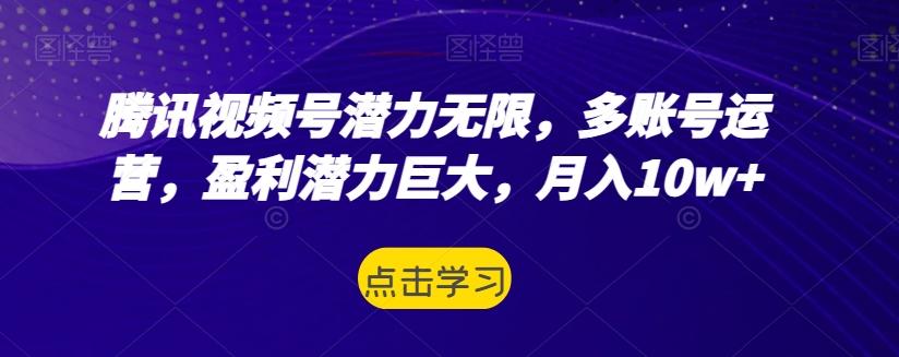 腾讯视频号潜力无限，多账号运营，盈利潜力巨大，月入10w+-康仁安资源