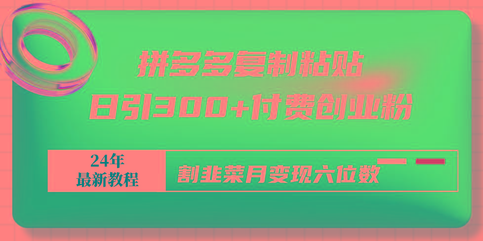 拼多多复制粘贴日引300+付费创业粉，割韭菜月变现六位数最新教程！-康仁安资源