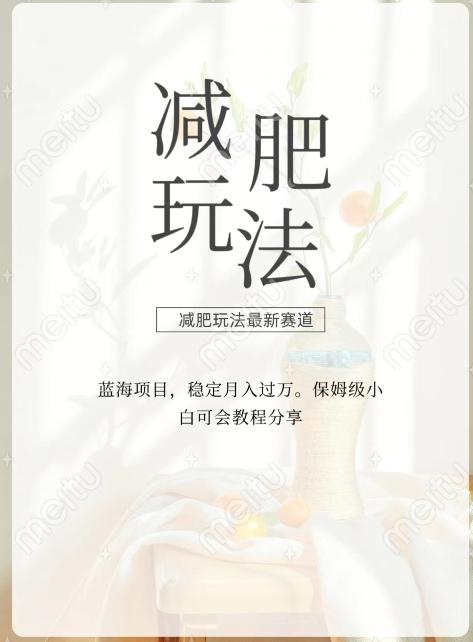 减肥流量主新玩法，轻松月入1W，可矩阵操作收入翻倍-康仁安资源