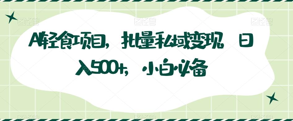 AI轻食项目，批量私域变现，日入500+，小白必备-康仁安资源