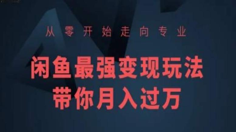 从零开始走向专业，闲鱼最强变现玩法带你月入过万-康仁安资源