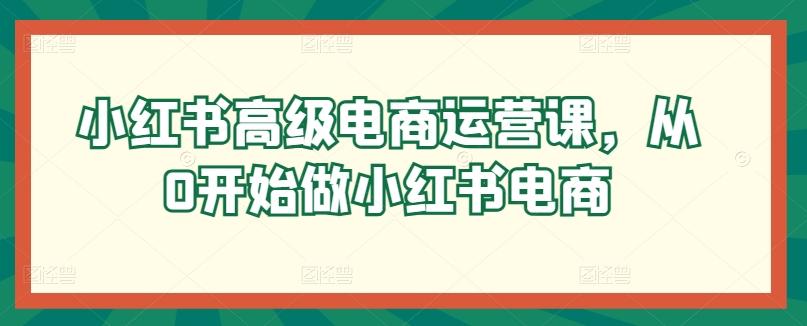 小红书高级电商运营课，从0开始做小红书电商-康仁安资源