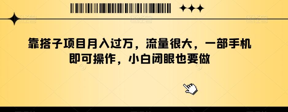 靠搭子项目月入过万，流量很大，一部手机即可操作，小白闭眼也要做-康仁安资源