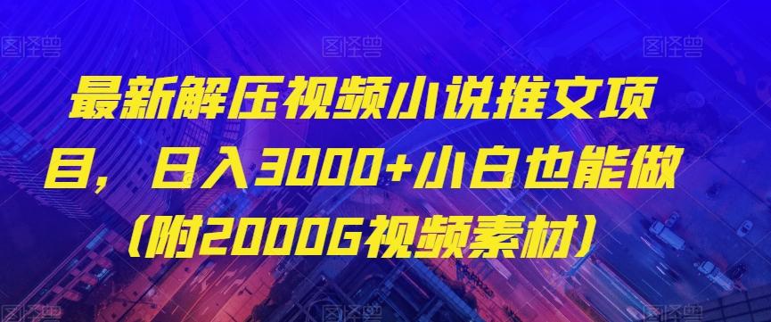 最新解压视频小说推文项目，日入3000+小白也能做（附2000G视频素材）【揭秘】-康仁安资源