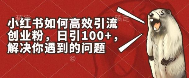 小红书如何高效引流创业粉，日引100+，解决你遇到的问题【揭秘】-康仁安资源