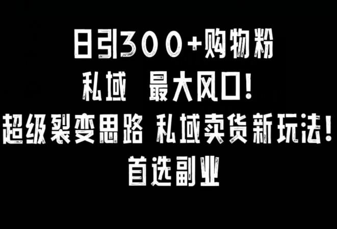 日引300+购物粉，超级裂变思路，私域卖货新玩法，小红书首选副业【揭秘】-康仁安资源