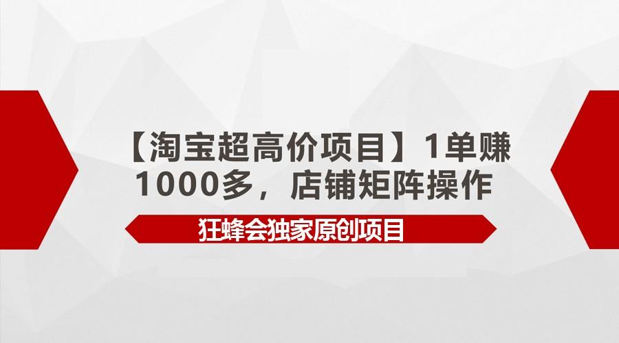 【淘宝超高价项目】1单赚1000多，店铺矩阵操作-康仁安资源