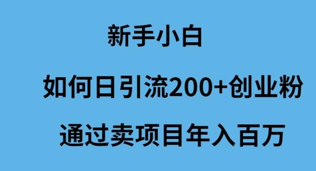 (9668期)新手小白如何日引流200+创业粉通过卖项目年入百万-康仁安资源
