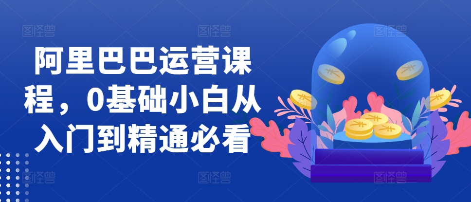 阿里巴巴运营课程，0基础小白从入门到精通必看-康仁安资源