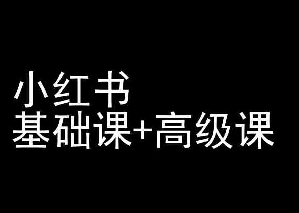 小红书基础课+高级课-小红书运营教程-康仁安资源