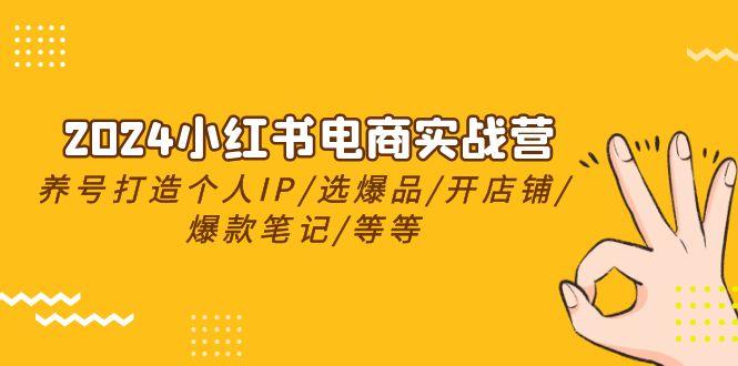 2024小红书电商实战营，养号打造IP/选爆品/开店铺/爆款笔记/等等(24节)-康仁安资源