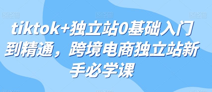 tiktok+独立站0基础入门到精通，跨境电商独立站新手必学课-康仁安资源