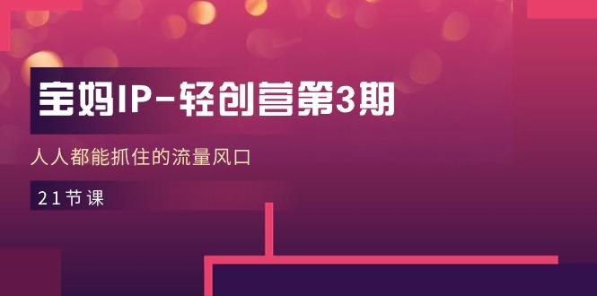 宝妈IP-轻创营第3期，人人都能抓住的流量风口(21节课-康仁安资源