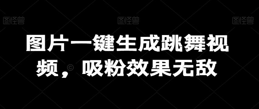 图片一键生成跳舞视频，吸粉效果无敌-康仁安资源