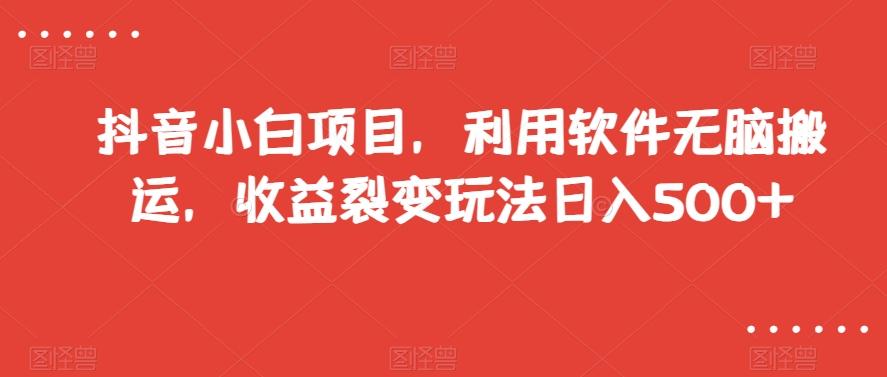 抖音小白项目，利用软件无脑搬运，收益裂变玩法日入500+【揭秘】-康仁安资源
