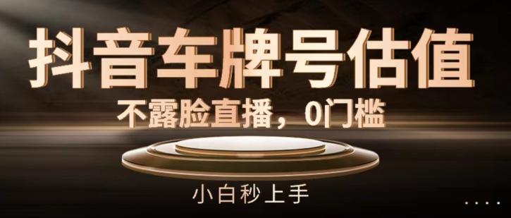 抖音车牌号估值，不露脸直播，0门槛，小白秒上手【揭秘】-康仁安资源