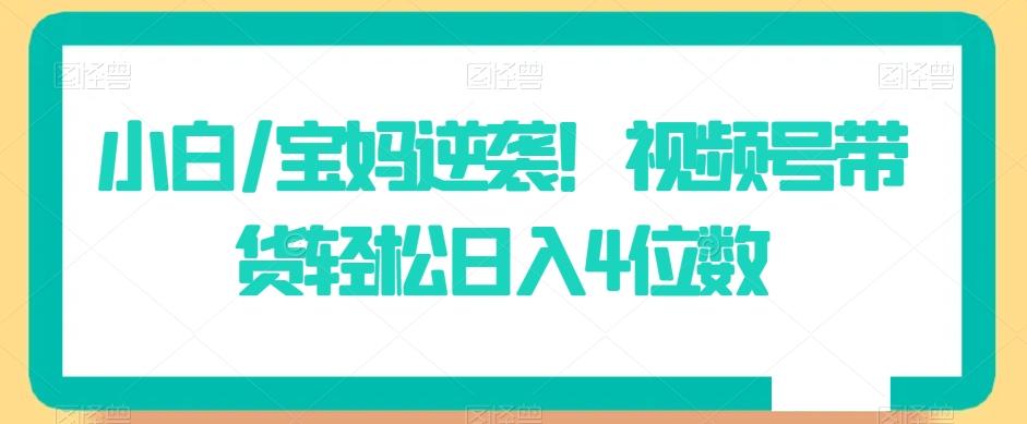 小白/宝妈逆袭！视频号带货轻松日入4位数【揭秘】-康仁安资源