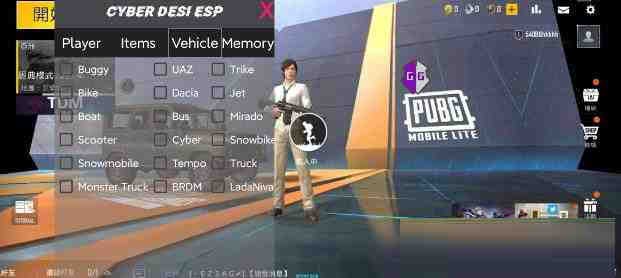 PUBG轻量老外裸奔绘制+自瞄 支持ROOT和框架 里面有全局离线-康仁安资源