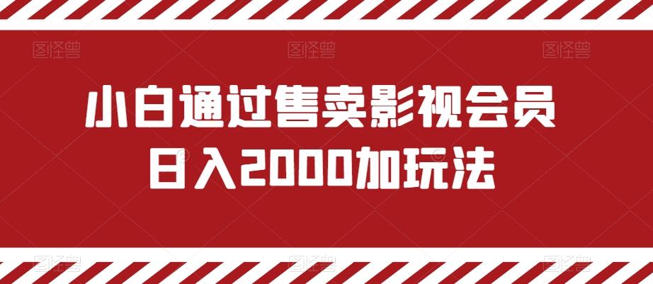 小白通过售卖影视会员日入2000加玩法-康仁安资源