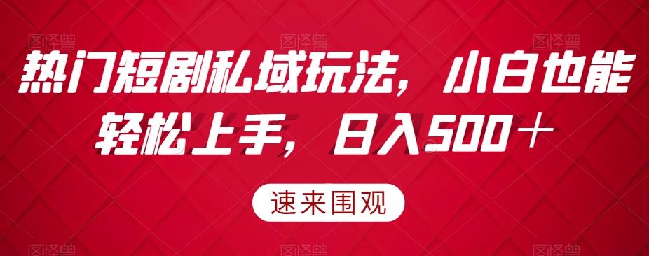热门短剧私域玩法，小白也能轻松上手，日入500＋-康仁安资源