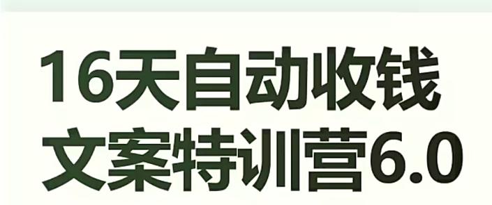 16天自动收钱文案特训营6.0，学会儿每天自动咔咔收钱-康仁安资源