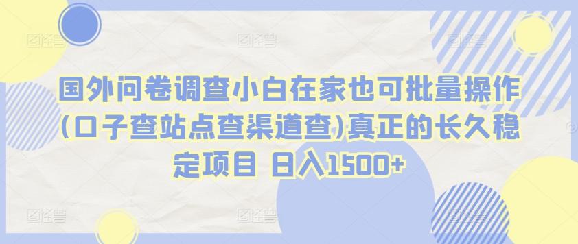 国外问卷调查小白在家也可批量操作(口子查站点查渠道查)真正的长久稳定项目 日入1500+【揭秘】-康仁安资源