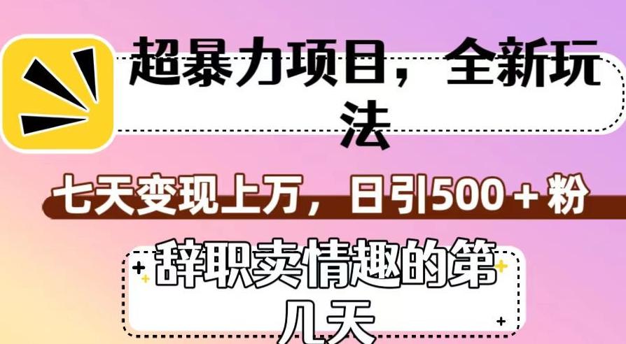 超暴利项目，全新玩法（辞职卖情趣的第几天），七天变现上万，日引500+粉【揭秘】-康仁安资源