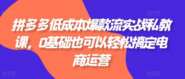 拼多多低成本爆款流实战私教课,0基础也可以轻松搞定电商运营