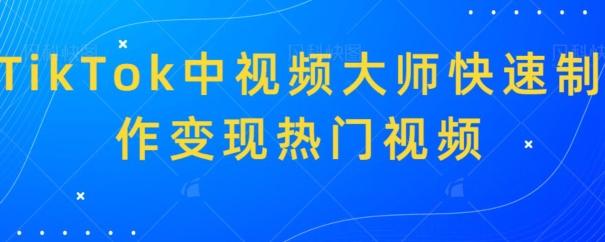 TikTok中视频大师快速制作变现热门视频-康仁安资源