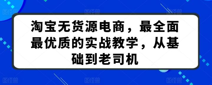 淘宝无货源电商，最全面最优质的实战教学，从基础到老司机-康仁安资源