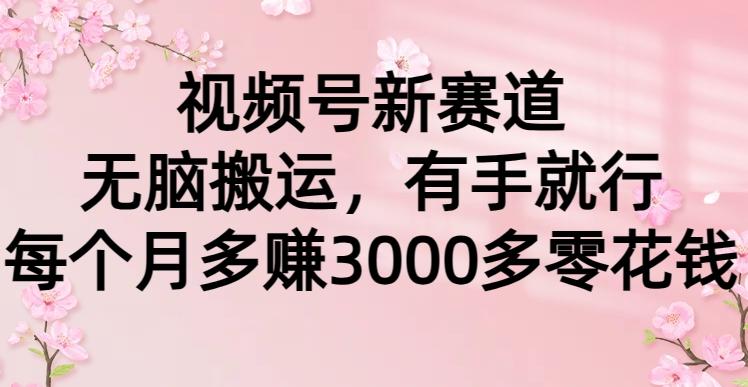 (9278期)视频号新赛道，无脑搬运，有手就行，每个月多赚3000多零花钱-康仁安资源