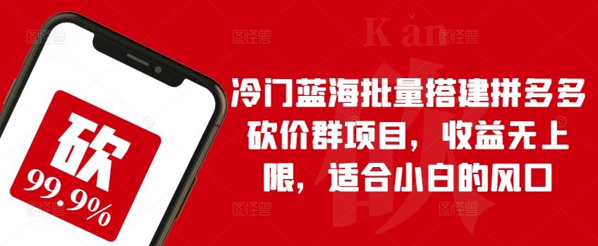 冷门蓝海批量搭建拼多多砍价群项目，收益无上限，适合小白的风口【揭秘】-康仁安资源
