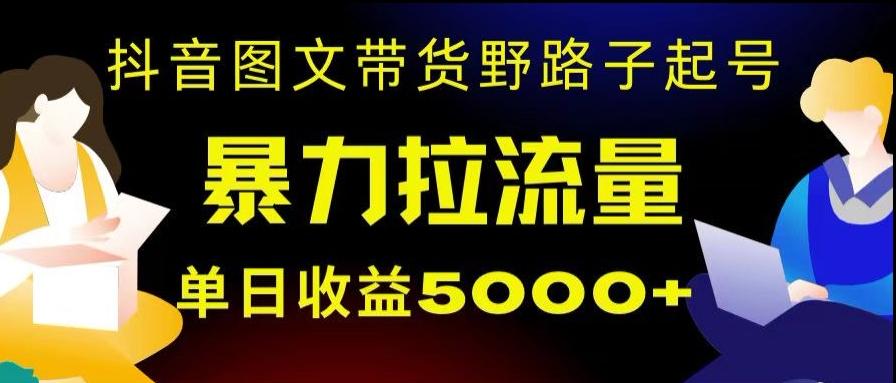 抖音图文带货暴力起号，单日收益5000+，野路子玩法，简单易上手，一部手机即可【揭秘】-康仁安资源