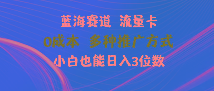 蓝海赛道 流量卡 0成本 小白也能日入三位数-康仁安资源