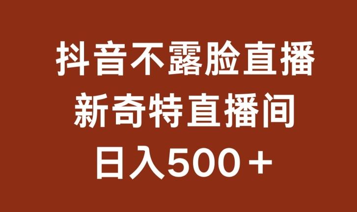 不露脸挂机直播，新奇特直播间，日入500+【揭秘】-康仁安资源