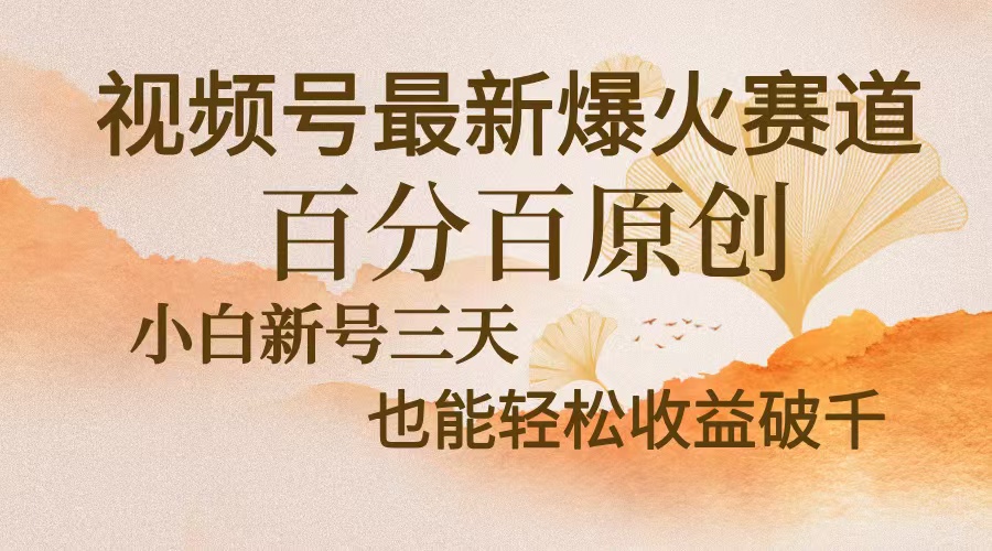 视频号最新爆火赛道，中老年粉深信不疑，百分百原创，新号三天收益轻松...-康仁安资源