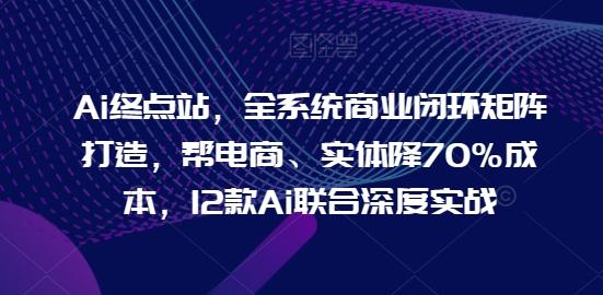 Ai终点站，全系统商业闭环矩阵打造，帮电商、实体降70%成本，12款Ai联合深度实战-康仁安资源