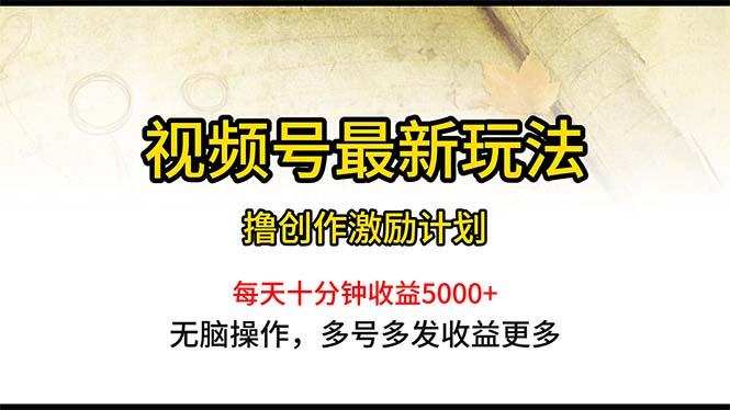 视频号最新玩法，每日一小时月入5000+-康仁安资源