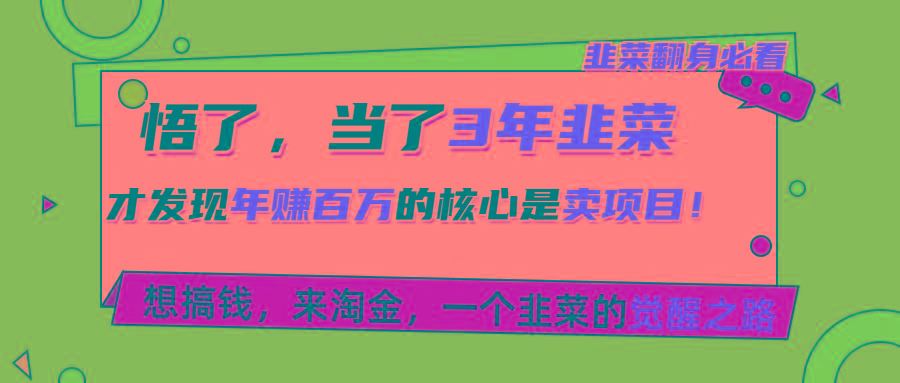 悟了，当了3年韭菜，才发现网赚圈年赚100万的核心是卖项目，含泪分享！-康仁安资源