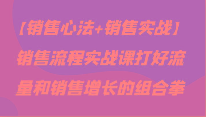 【销售心法+销售实战】销售流程实战课打好流量和销售增长的组合拳-康仁安资源